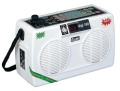 Radel Digi 100