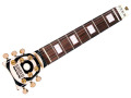 Shred Neck Zakk Wylde Bull's Eye Zebra Model